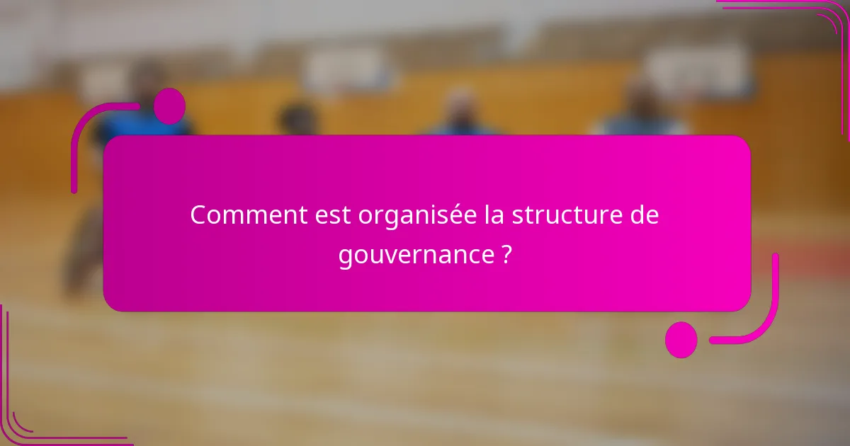 Comment est organisée la structure de gouvernance ?
