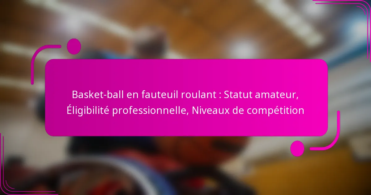 Basket-ball en fauteuil roulant : Statut amateur, Éligibilité professionnelle, Niveaux de compétition