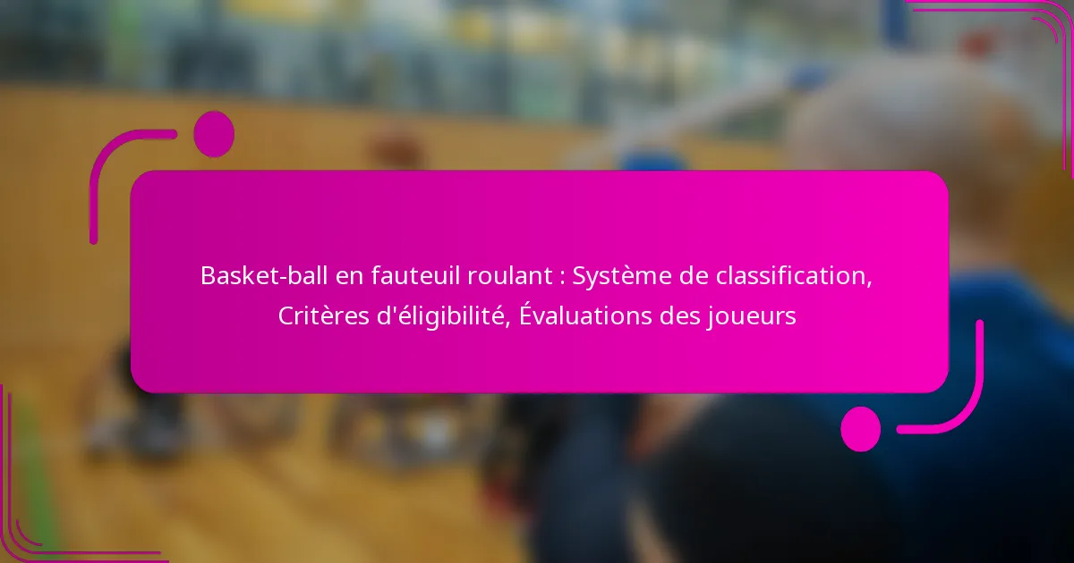Basket-ball en fauteuil roulant : Système de classification, Critères d’éligibilité, Évaluations des joueurs